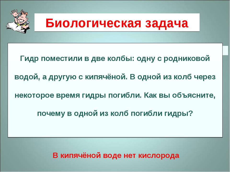 Кракен драг
