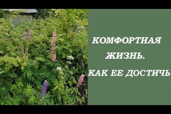 Зайти на кракен