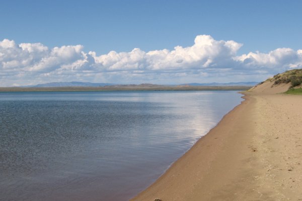 Ссылка на кракен лукойл