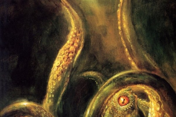 Доступ к kraken через vpn