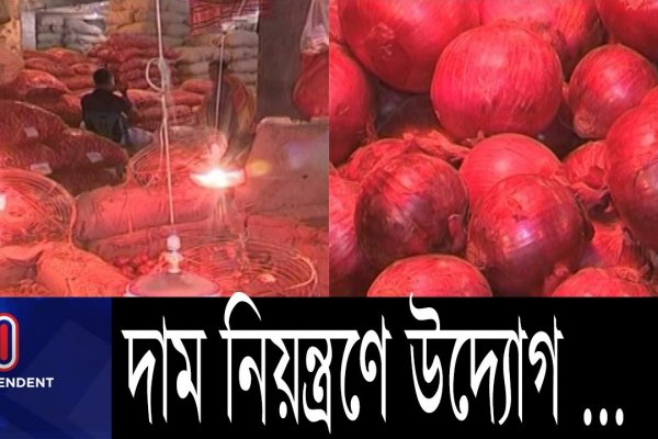 Kraken istand onion