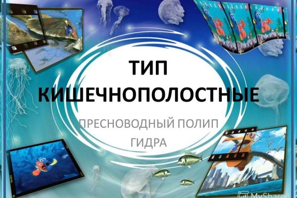 Кракен сайт что это