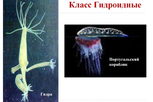 Ссылки для даркнета