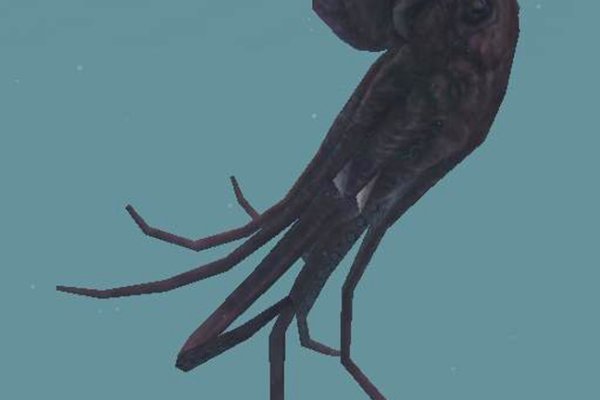 Kraken onion сайта